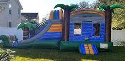 A inflatable slide on grassDescription automatically generated