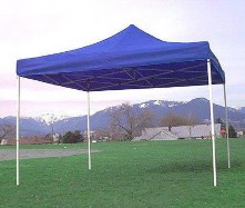 Image 003