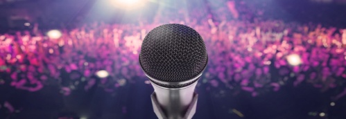 Professional Interactive Disc  >Jockeys/VJs/Emcees/Karaoke/Photo Booths