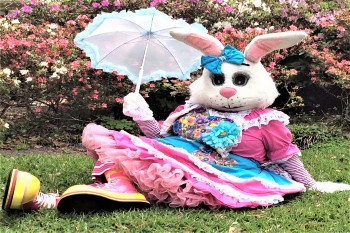 C:\Users\Owner\Pictures\Easter Bunny Pictures\Girl Easter Bunny.jpg