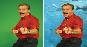 Article figure image