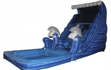 21’ Dolphin Waterslide