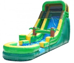 22 ft palm tree water slide