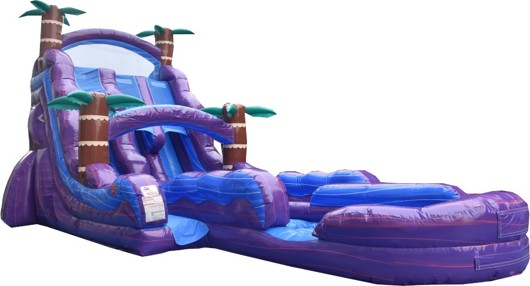 24’ Dual Lane Purple Tropical Waterslide